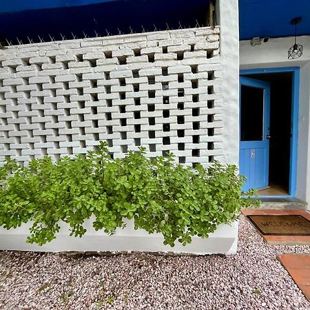 Apartamento Puerta Azul Punta del Este Exterior foto